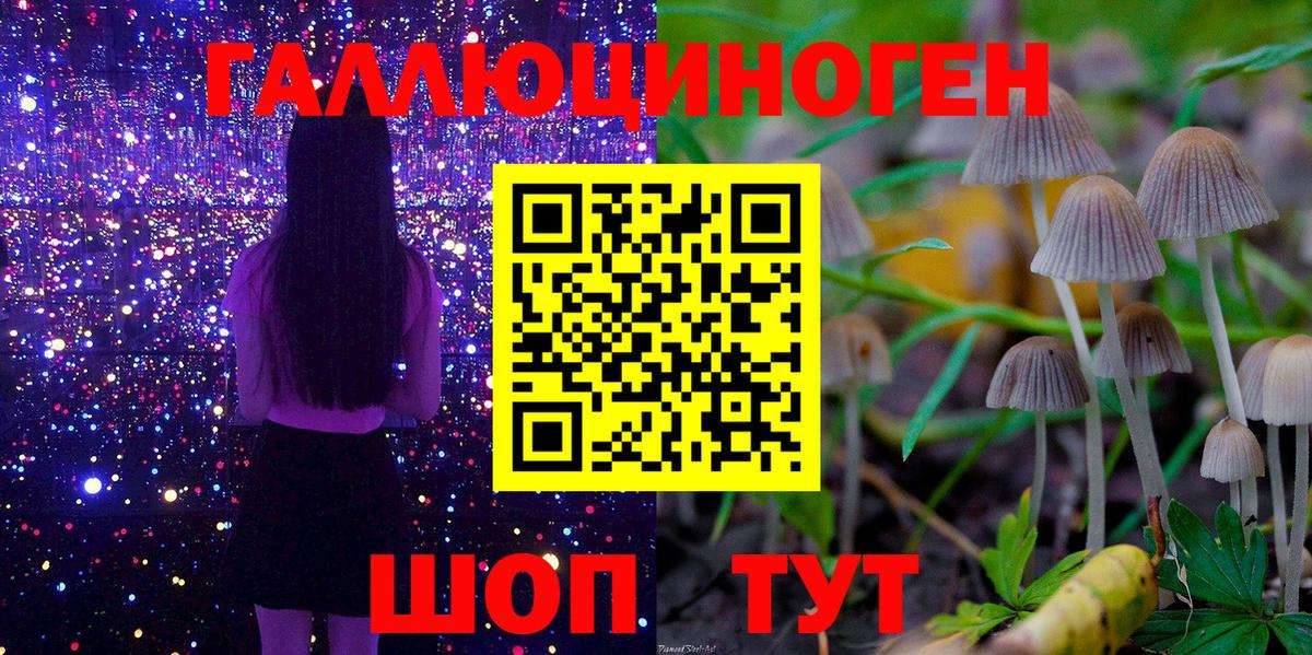 Псилоцибиновые грибы мухоморы Барабинск